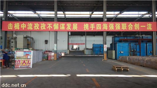  动力型蓄电池